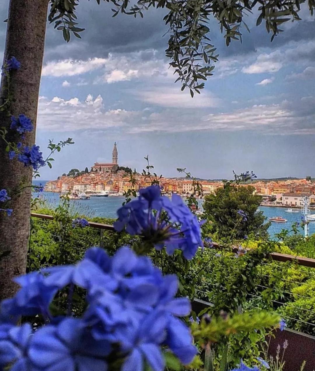 Apartments Mary & Free Parking Rovinj Rum bild